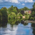 green trees beside river under blue sky during daytime