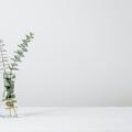 green fern plant inside clear glass vase