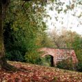 brown brick wall near green trees during daytime