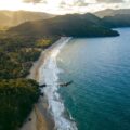 top view of brown flying eagle above seashore