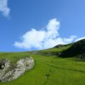 green grass field under blue sky during daytime