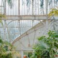 photo of white garden fence surrounded by plants