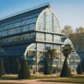 green trees in greenhouse during daytime