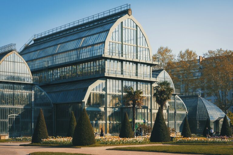 green trees in greenhouse during daytime