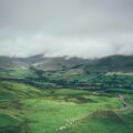 green grass field under white clouds during daytime