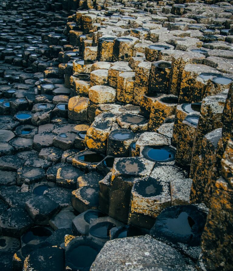 a large group of rocks sitting next to each other