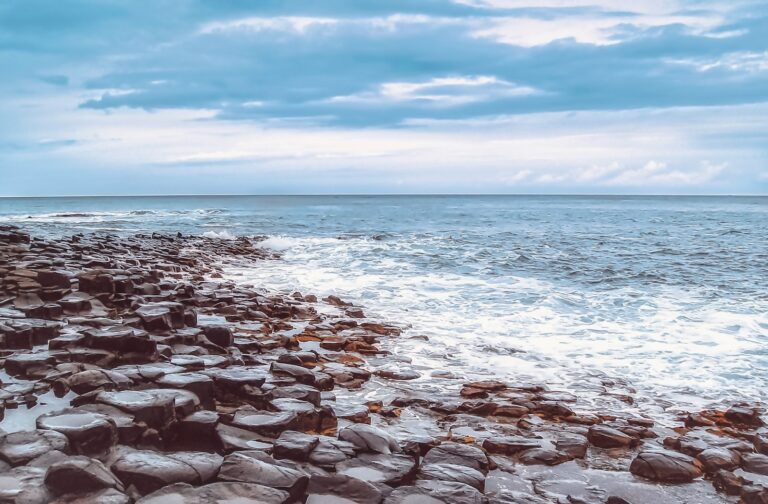 rocky shore under blue sky during daytime