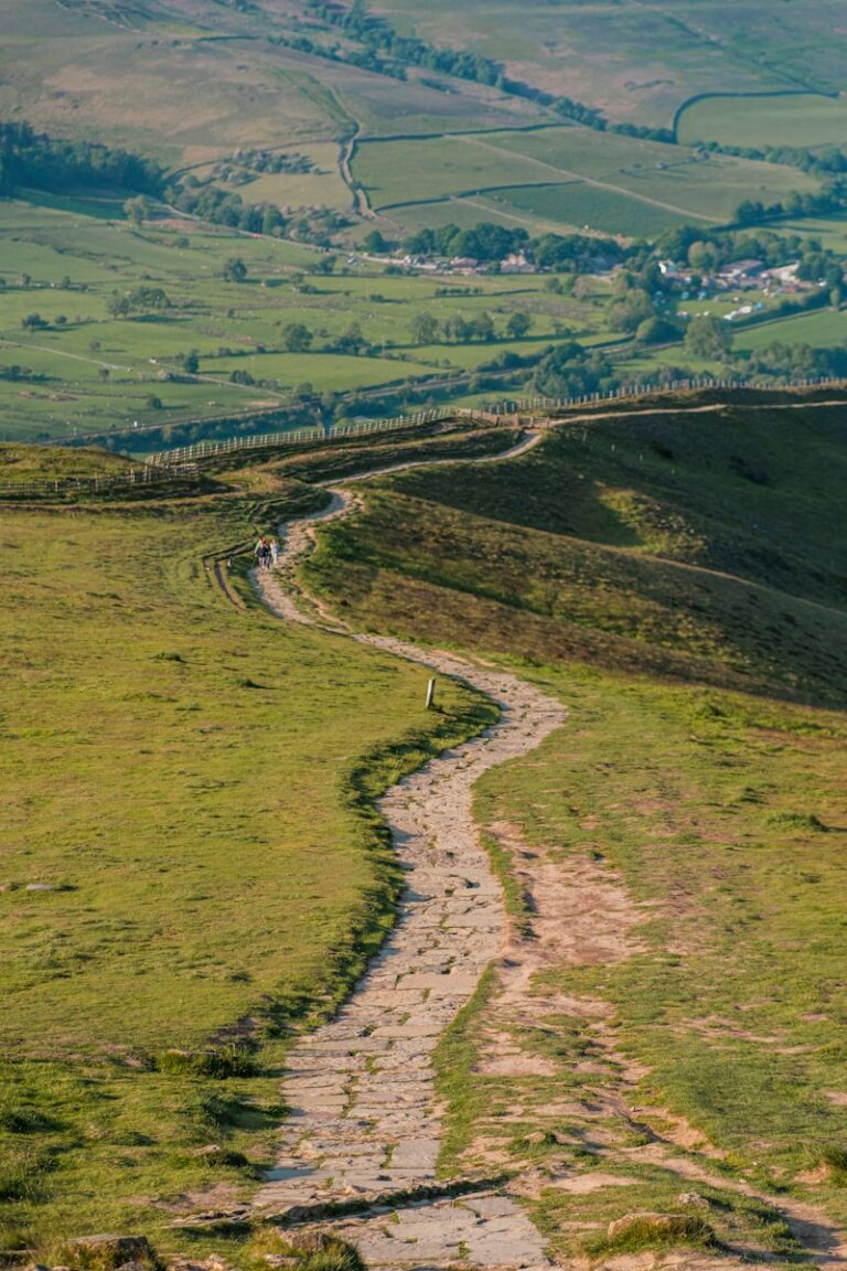 a path in the middle of a grassy field