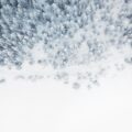 aerial photo of snow covered tree lot