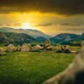 green grass field with rocks and mountains in distance